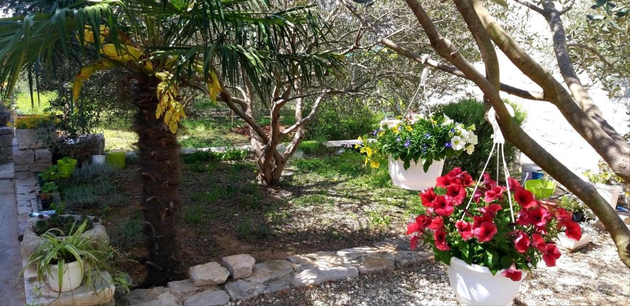 Apartman Rabatin Sveti Filip i Jakov Εξωτερικό φωτογραφία