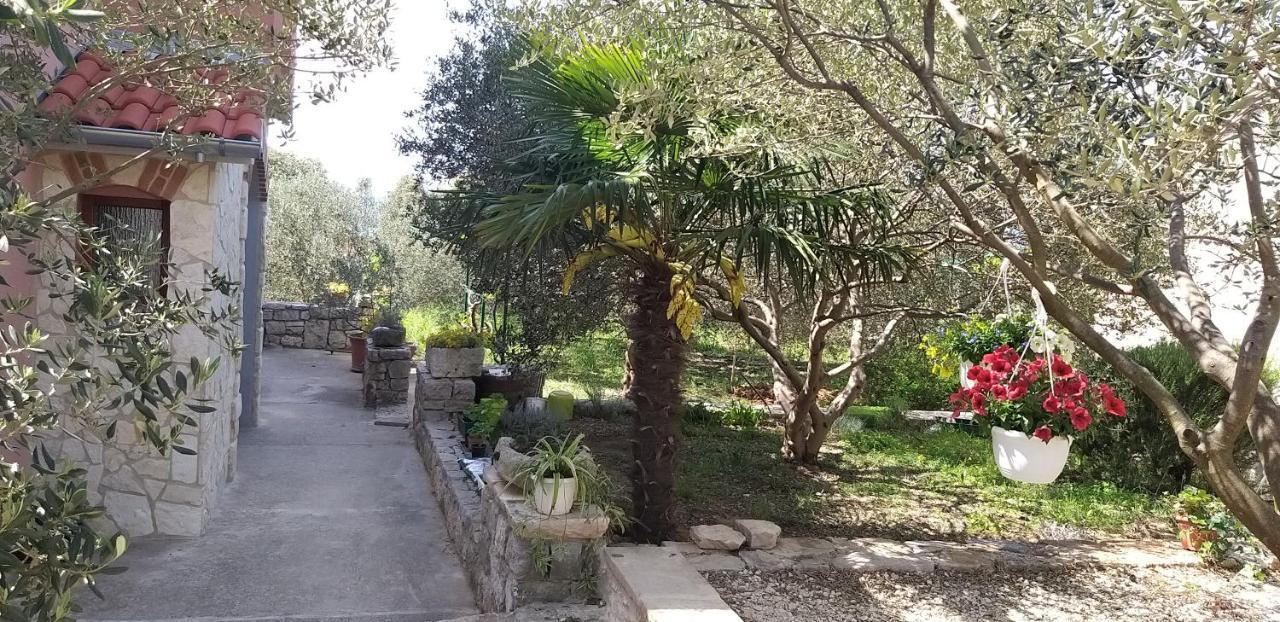 Apartman Rabatin Sveti Filip i Jakov Εξωτερικό φωτογραφία