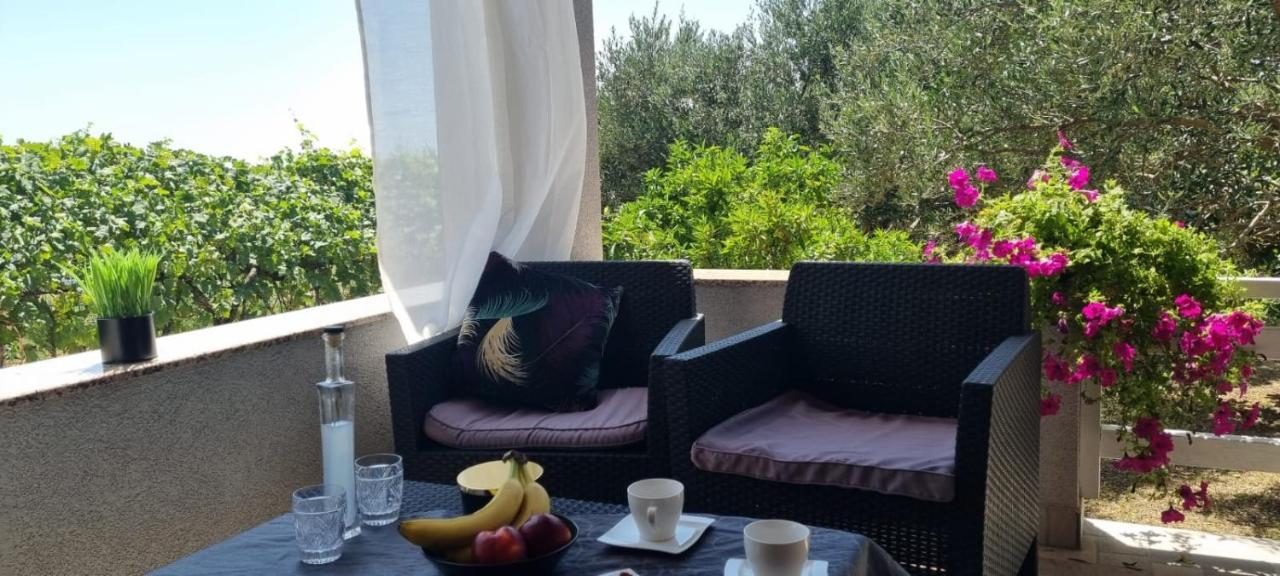 Apartman Rabatin Sveti Filip i Jakov Εξωτερικό φωτογραφία
